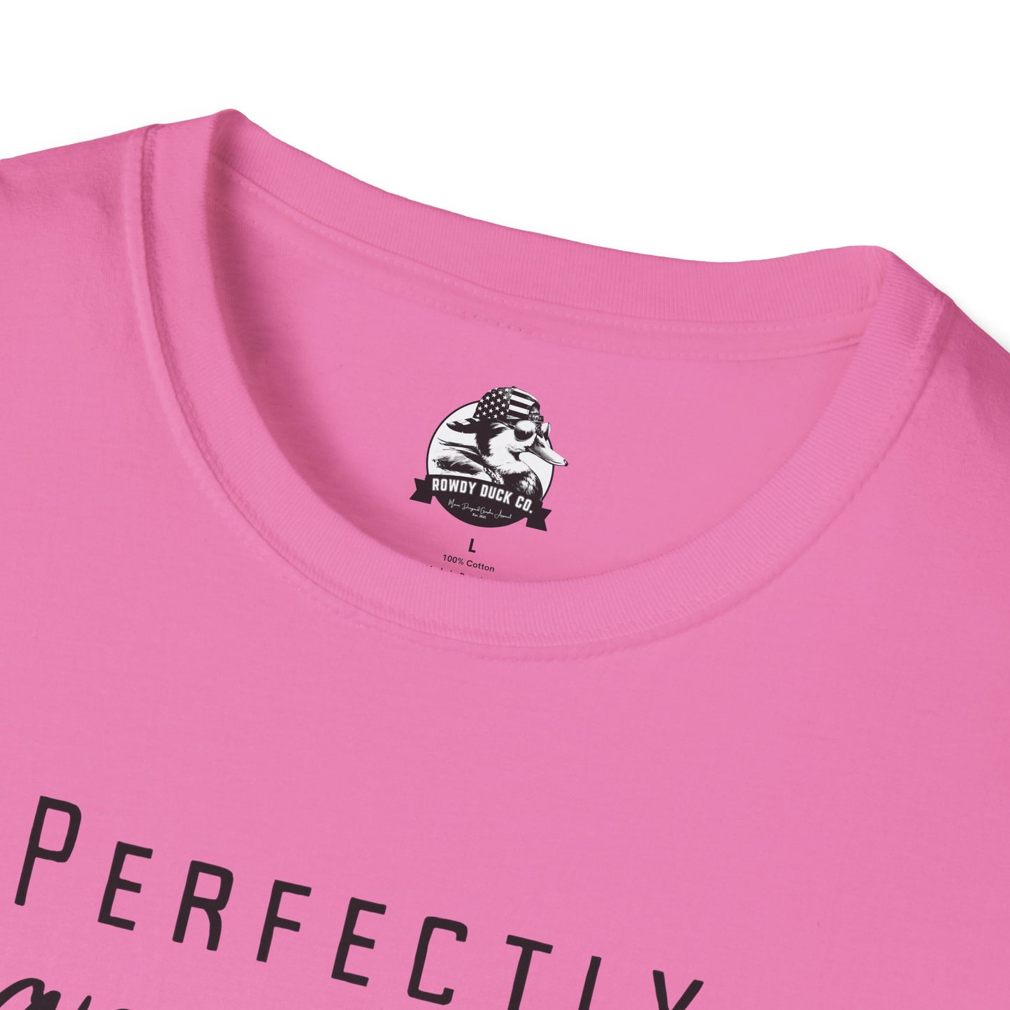 Perfectly Inappropriate Unisex Softstyle T-Shirt - Casual Humor Tee for Everyday Wear