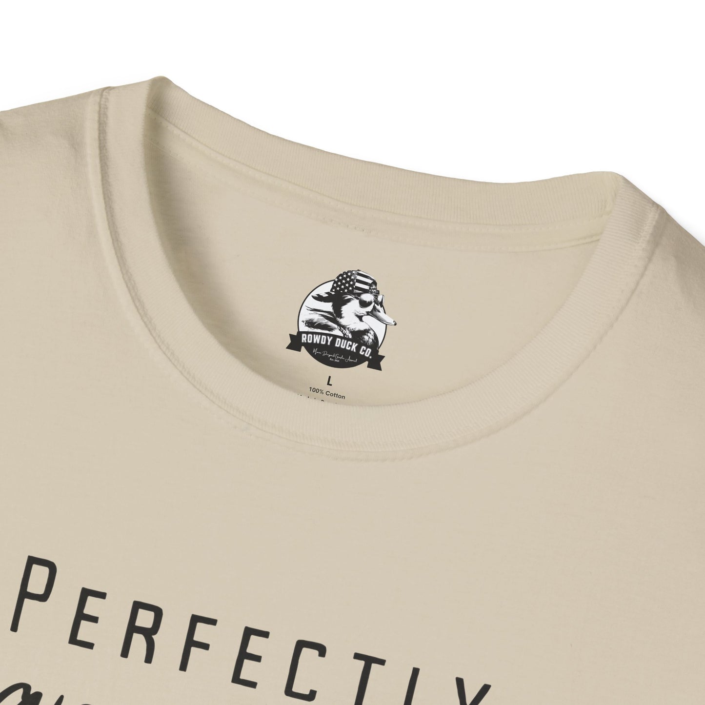 Perfectly Inappropriate Unisex Softstyle T-Shirt - Casual Humor Tee for Everyday Wear