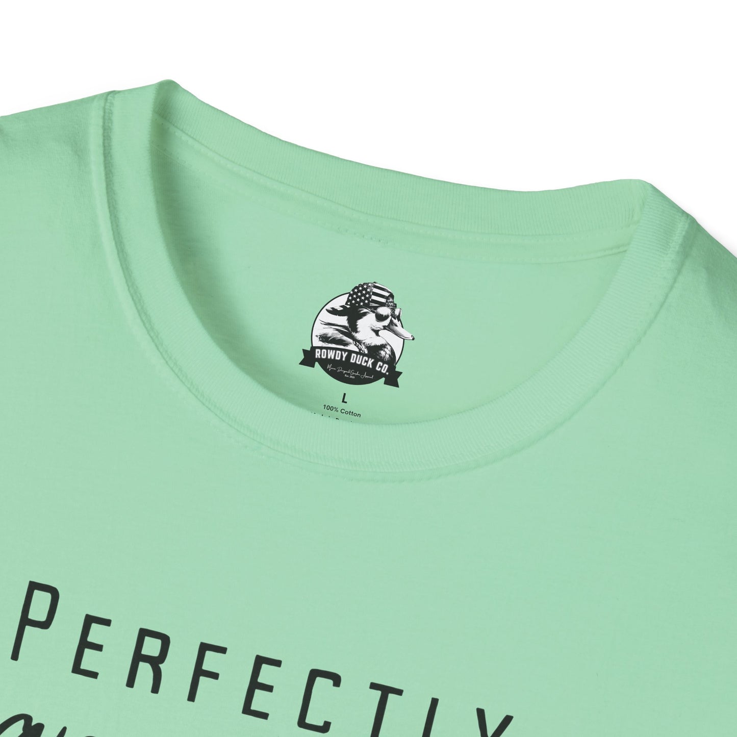 Perfectly Inappropriate Unisex Softstyle T-Shirt - Casual Humor Tee for Everyday Wear