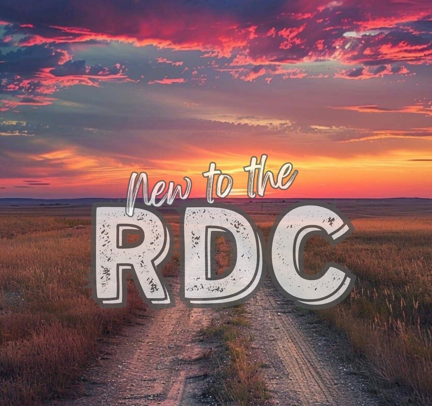 NEW TO RDC