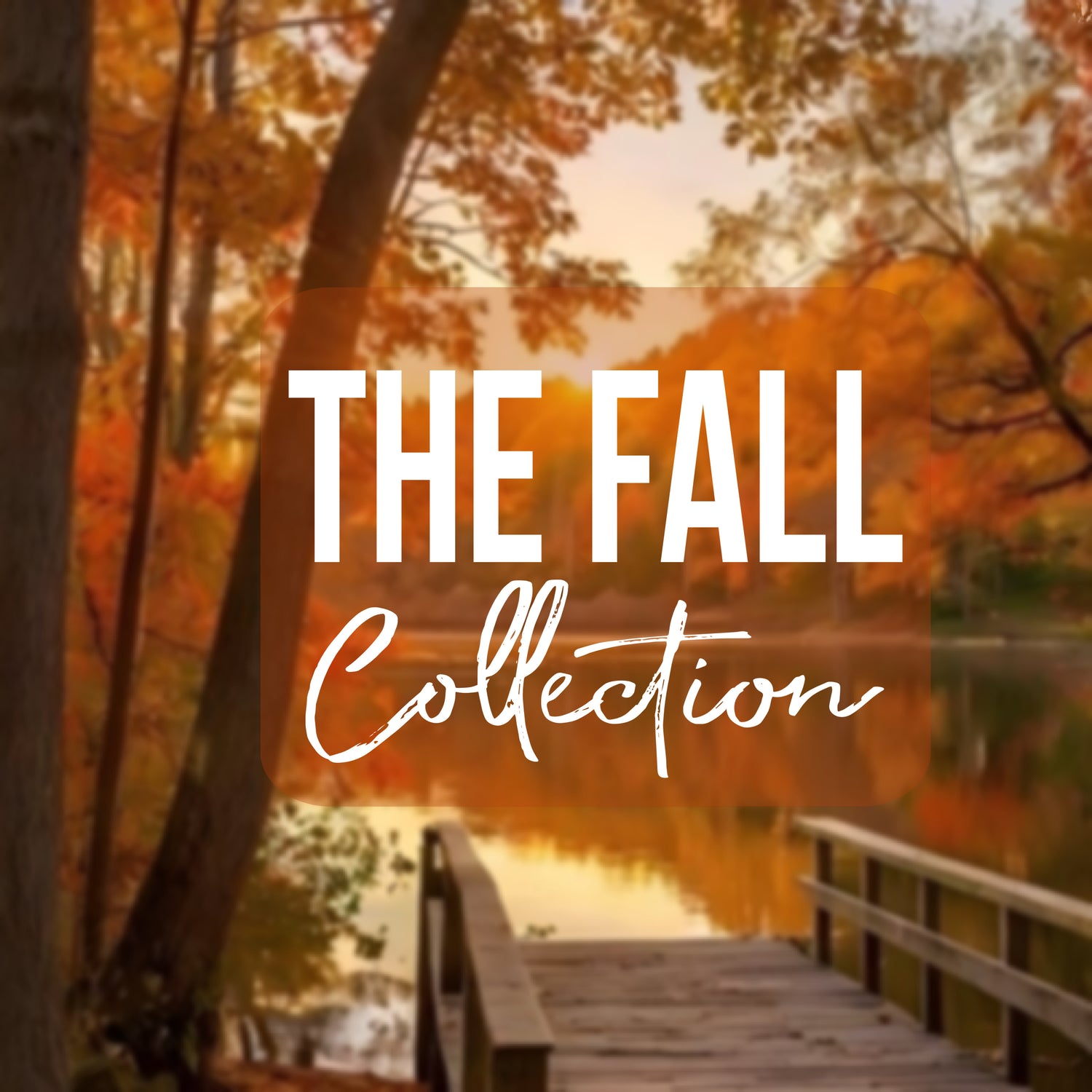 The Fall Collection
